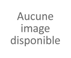 Volet avec Moteur solaire SOMFY RTS